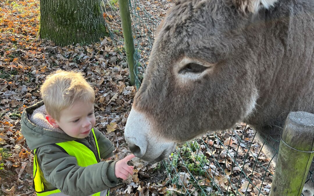 Voordelen van dieren op de kinderopvang